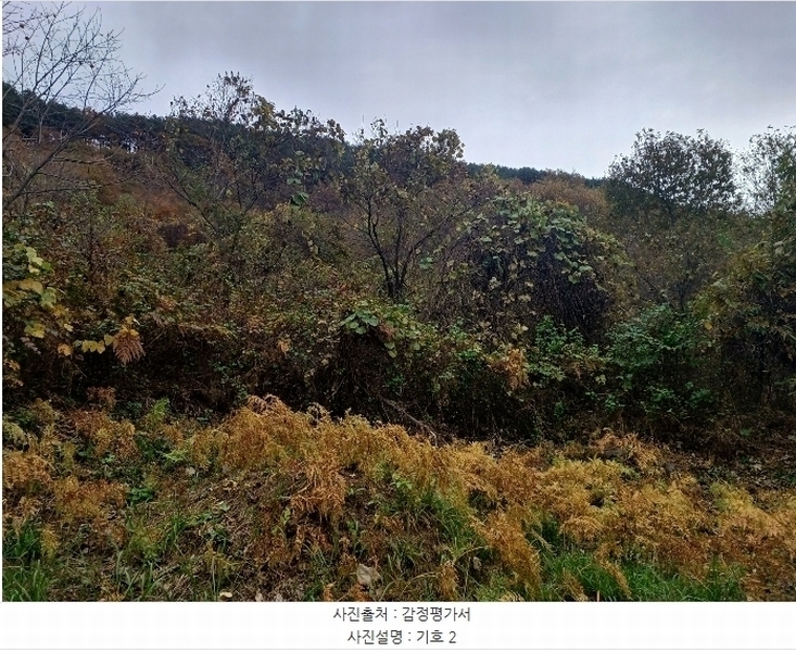 2024타경5928 경상남도 산청군 삼장면 덕교리 789-1 임야 경매 이미지