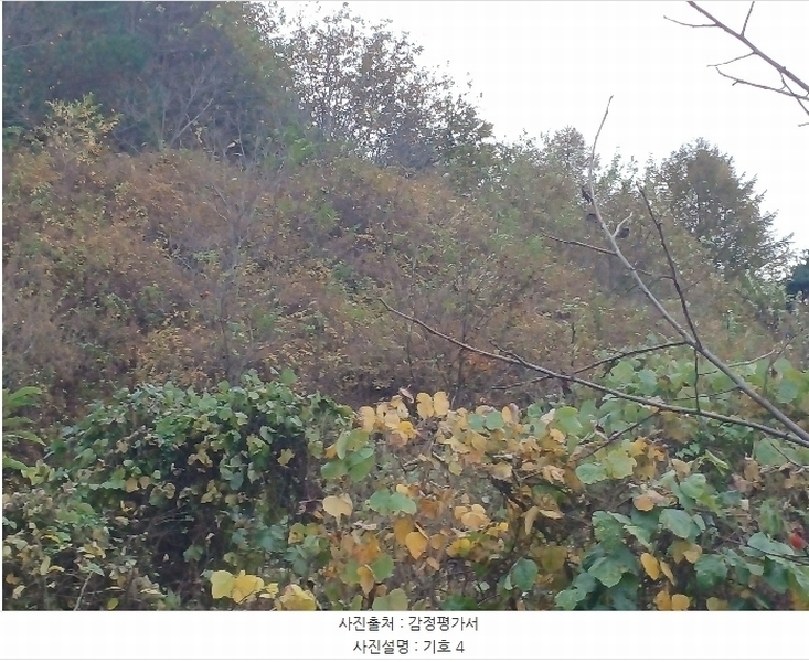 2024타경5928 경상남도 산청군 삼장면 덕교리 789-1 임야 경매 이미지
