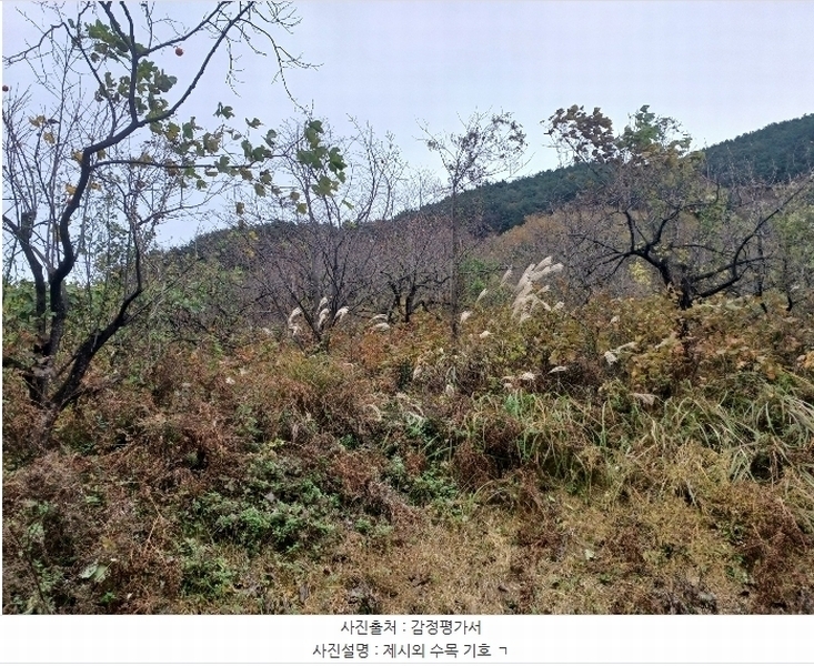 2024타경5928 경상남도 산청군 삼장면 덕교리 789-1 임야 경매 이미지