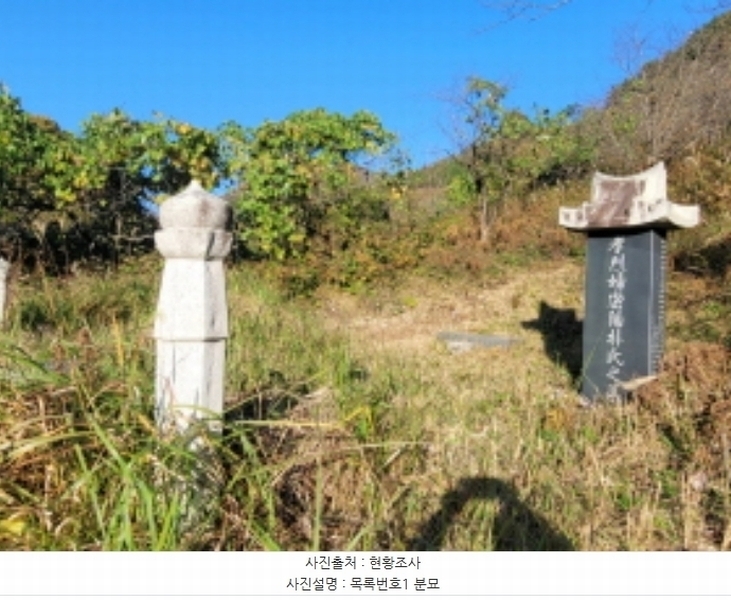 2024타경5928 경상남도 산청군 삼장면 덕교리 789-1 임야 경매 이미지