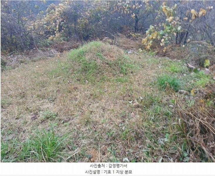 2024타경5928 경상남도 산청군 삼장면 덕교리 789-1 임야 경매 이미지