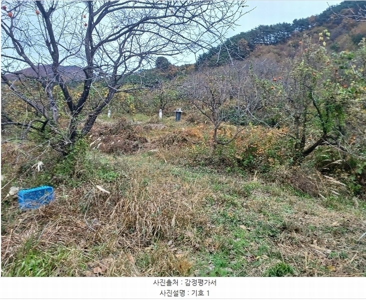 2024타경5928 경상남도 산청군 삼장면 덕교리 789-1 임야 경매 이미지