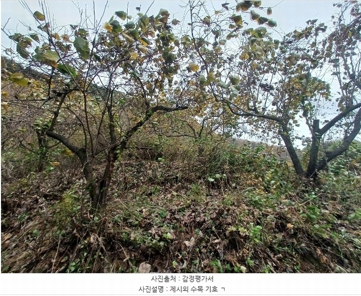 2024타경5928 경상남도 산청군 삼장면 덕교리 789-1 임야 경매 이미지