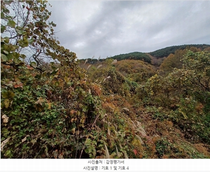 2024타경5928 경상남도 산청군 삼장면 덕교리 789-1 임야 경매 이미지