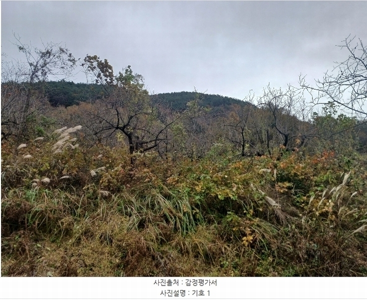 2024타경5928 경상남도 산청군 삼장면 덕교리 789-1 임야 경매 이미지