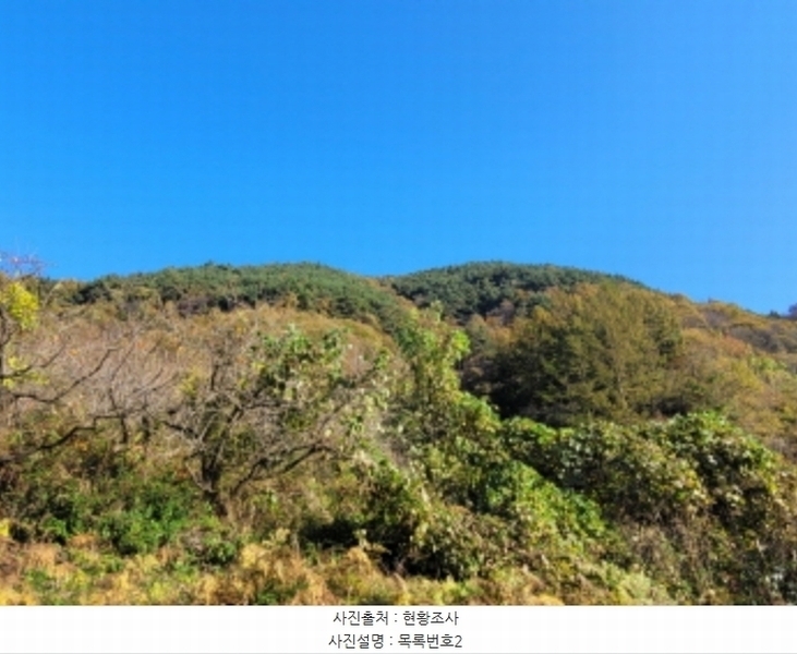 2024타경5928 경상남도 산청군 삼장면 덕교리 789-1 임야 경매 이미지