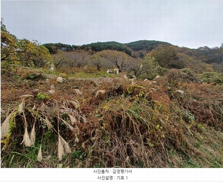 2024타경5928 경상남도 산청군 삼장면 덕교리 789-1 임야 경매 이미지