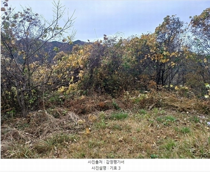 2024타경5928 경상남도 산청군 삼장면 덕교리 789-1 임야 경매 이미지