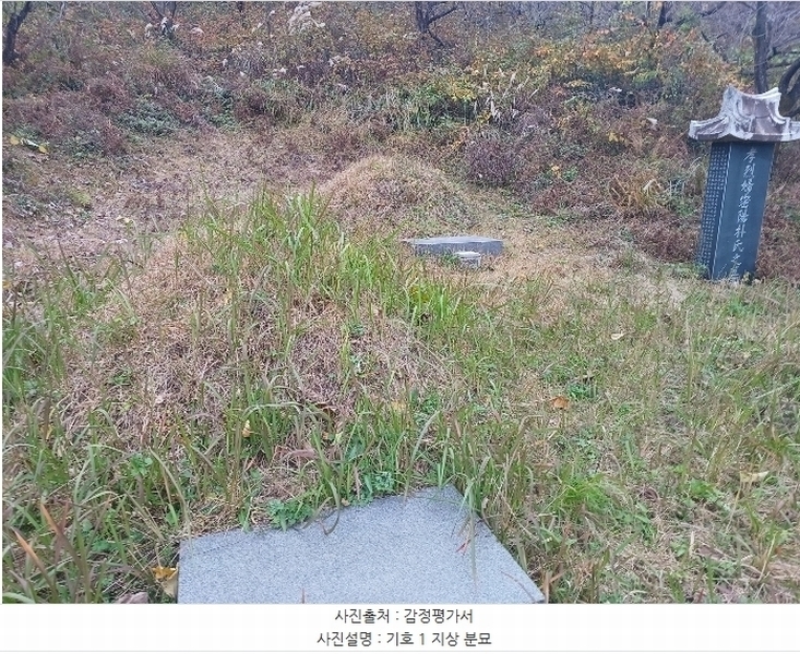 2024타경5928 경상남도 산청군 삼장면 덕교리 789-1 임야 경매 이미지