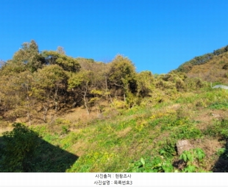 2024타경5928 경상남도 산청군 삼장면 덕교리 789-1 임야 경매 이미지