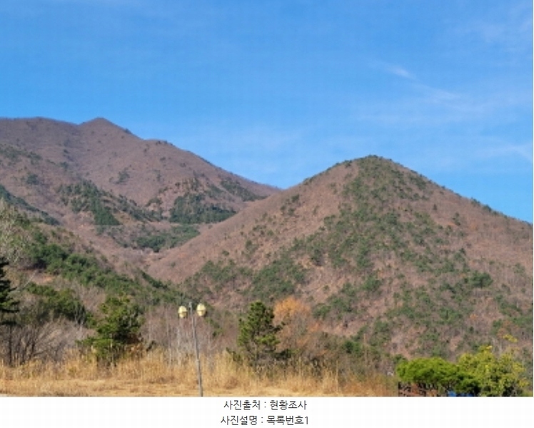 2024타경6327 경상남도 산청군 단성면 운리 산5-2 임야 경매 이미지