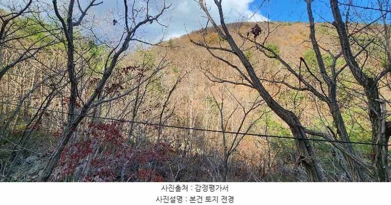 2024타경6327 경상남도 산청군 단성면 운리 산5-2 임야 경매 이미지