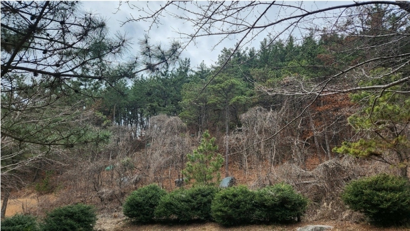 2024타경31286 경상남도 사천시 죽림동 산36-1 임야 경매 이미지