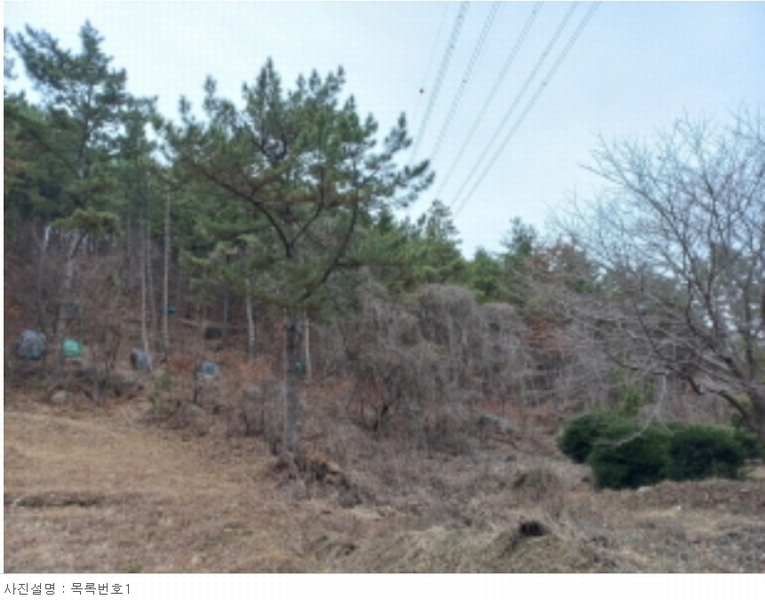 2024타경31286 경상남도 사천시 죽림동 산36-1 임야 경매 이미지