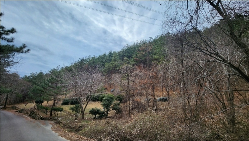 2024타경31286 경상남도 사천시 죽림동 산36-1 임야 경매 이미지