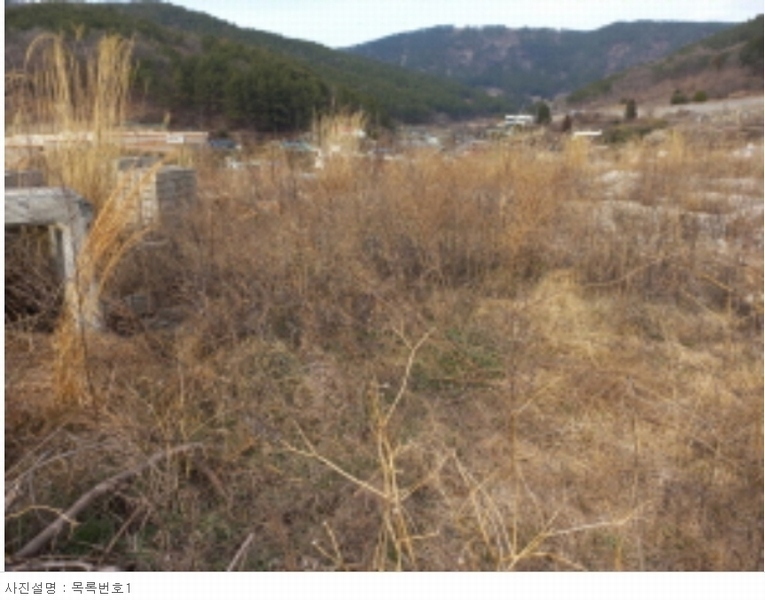 2024타경31385 경상남도 사천시 실안동 662 농지 경매 이미지