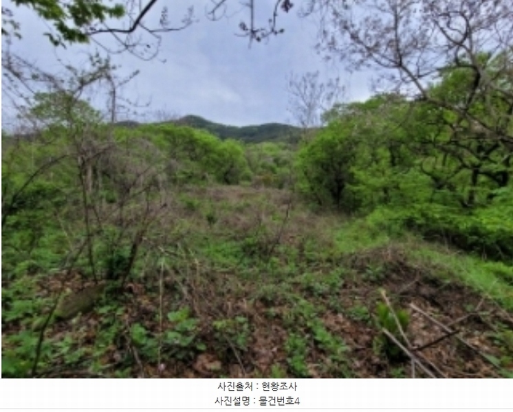 2024타경33053 경상남도 산청군 차황면 철수리 산26-1 임야 경매 이미지