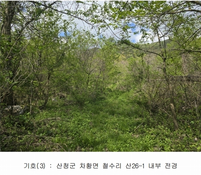 2024타경33053 경상남도 산청군 차황면 철수리 산26-1 임야 경매 이미지