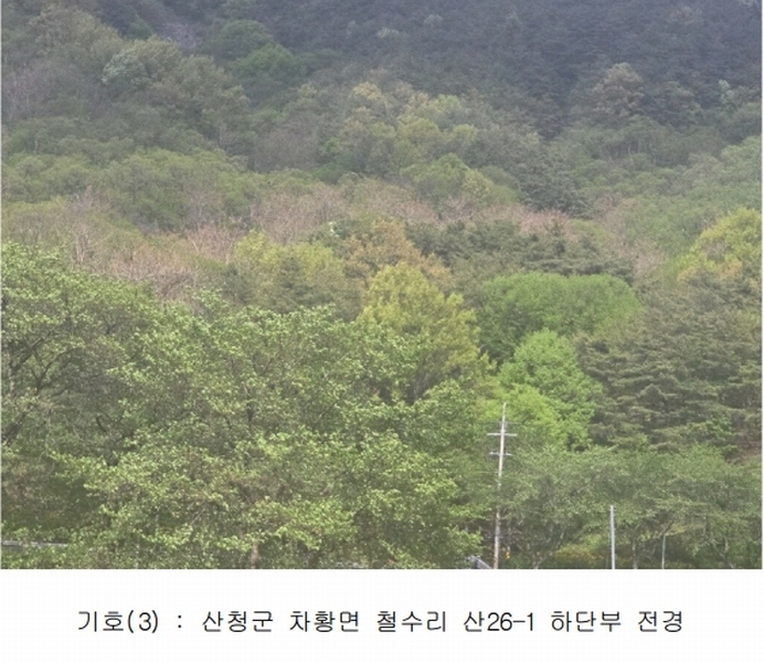 2024타경33053 경상남도 산청군 차황면 철수리 산26-1 임야 경매 이미지