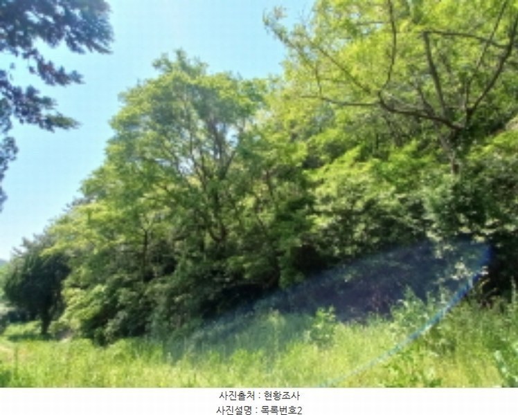 2024타경33343 경상남도 남해군 남면 평산리 1516-20 임야 경매 이미지