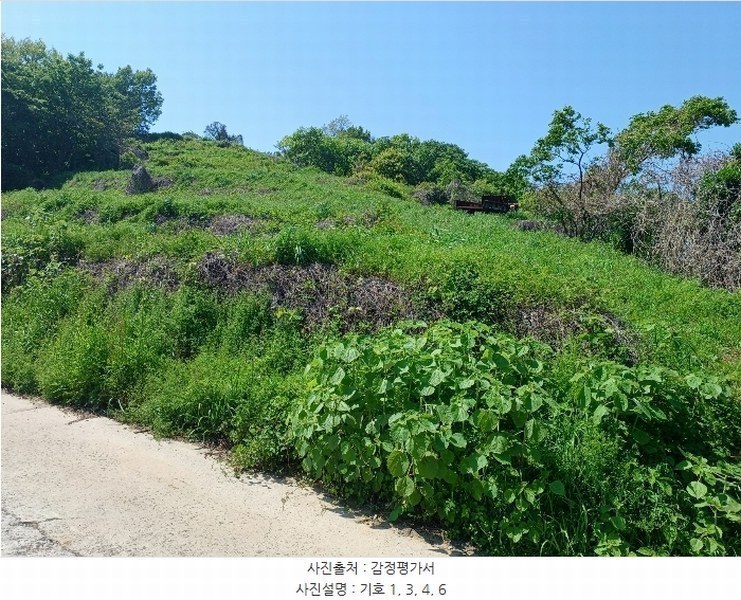 2024타경33343 경상남도 남해군 남면 평산리 1516-20 임야 경매 이미지