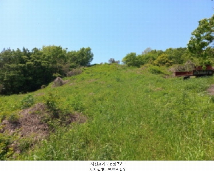 2024타경33343 경상남도 남해군 남면 평산리 1516-20 임야 경매 이미지
