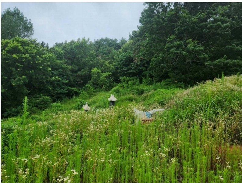 2024타경35523 경상남도 남해군 남면 선구리 1339-37 농지 경매 이미지