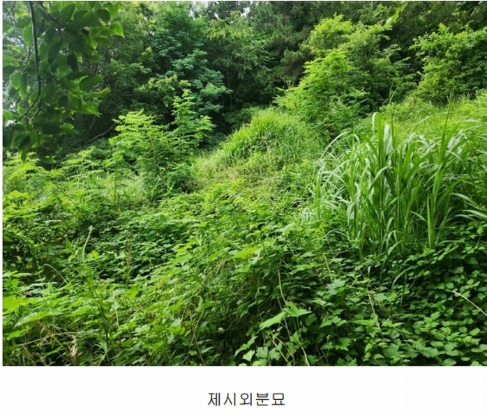 2024타경35523 경상남도 남해군 남면 선구리 1339-37 농지 경매 이미지