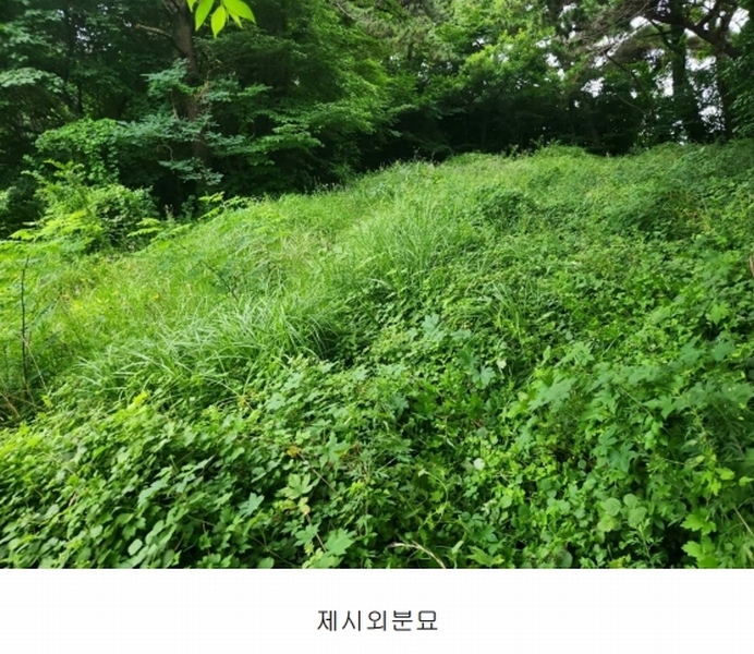 2024타경35523 경상남도 남해군 남면 선구리 1339-37 농지 경매 이미지