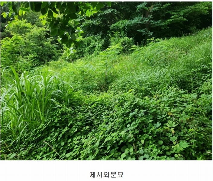 2024타경35523 경상남도 남해군 남면 선구리 1339-37 농지 경매 이미지