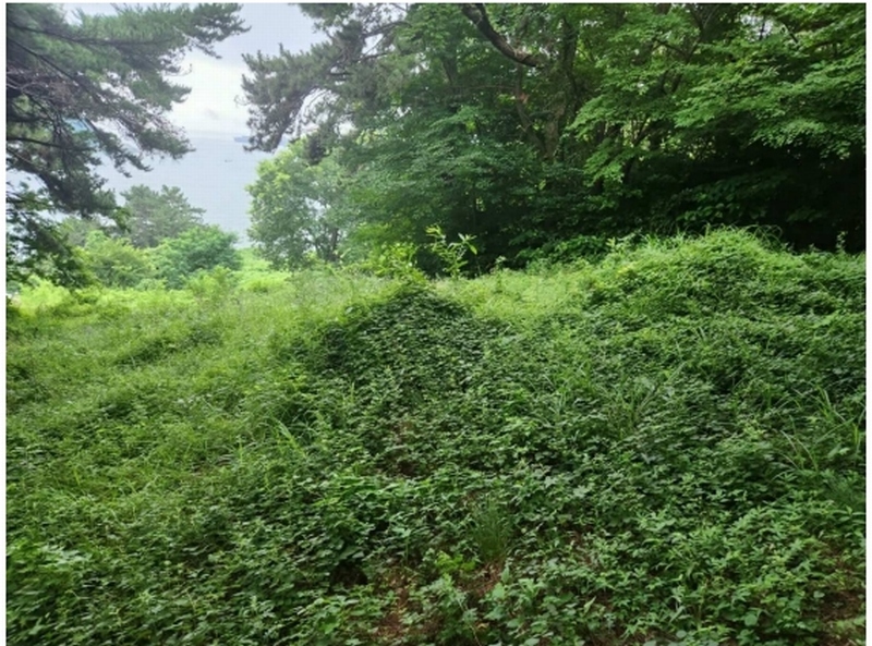 2024타경35523 경상남도 남해군 남면 선구리 1339-37 농지 경매 이미지