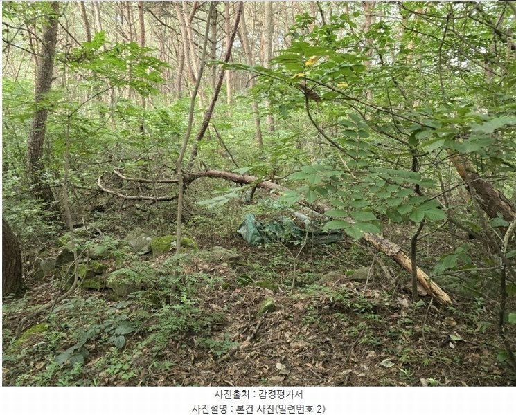 2024타경35677 경상남도 진주시 집현면 장흥리 산66 임야 경매 이미지