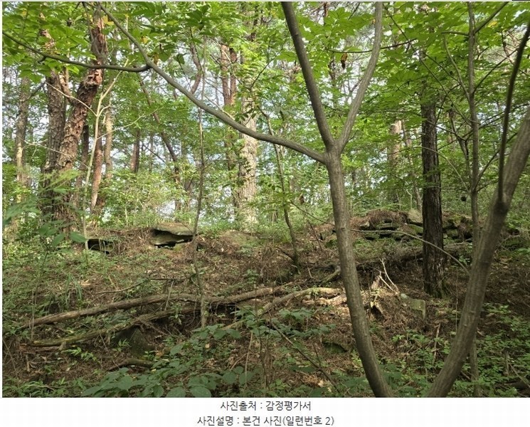 2024타경35677 경상남도 진주시 집현면 장흥리 산66 임야 경매 이미지