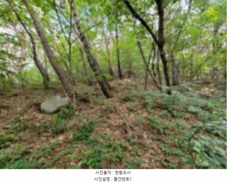 2024타경35677 경상남도 진주시 집현면 장흥리 산66 임야 경매 이미지