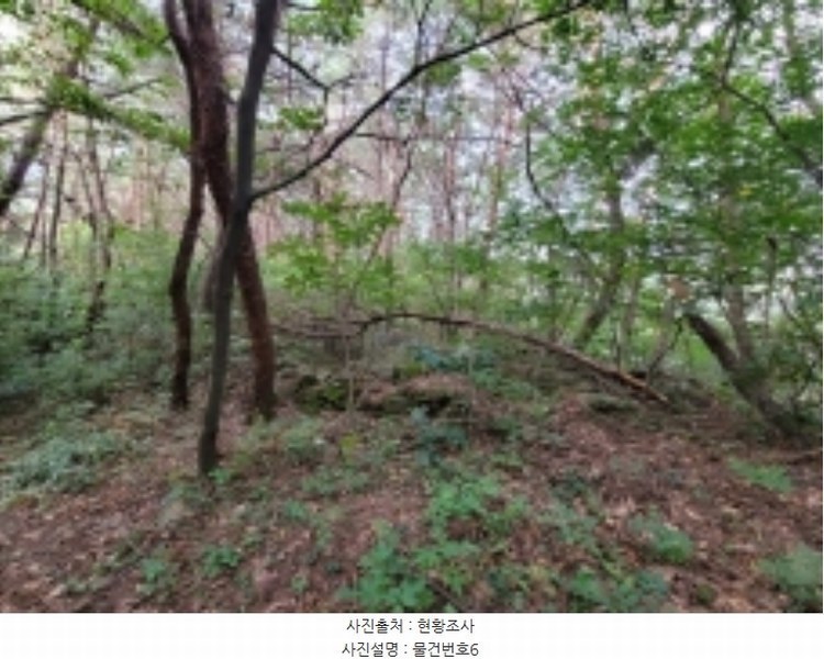 2024타경35677 경상남도 진주시 집현면 장흥리 산66 임야 경매 이미지