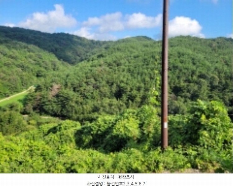 2024타경35677 경상남도 진주시 집현면 장흥리 산66 임야 경매 이미지