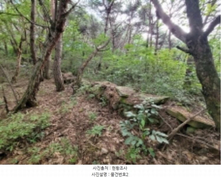 2024타경35677 경상남도 진주시 집현면 장흥리 산66 임야 경매 이미지