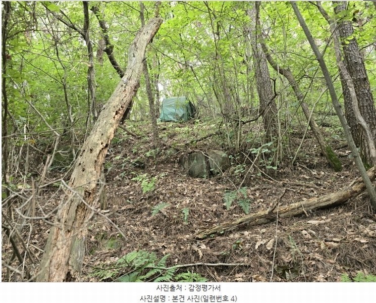 2024타경35677 경상남도 진주시 집현면 장흥리 산66 임야 경매 이미지