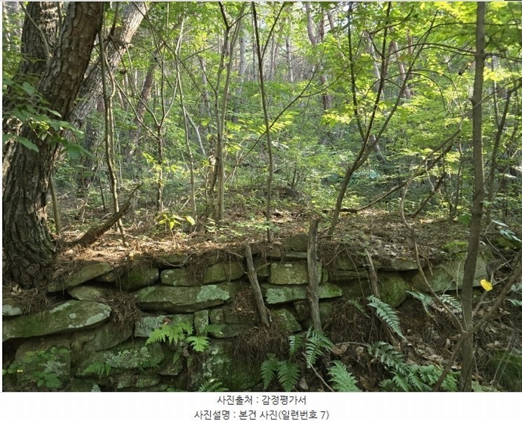 2024타경35677 경상남도 진주시 집현면 장흥리 산66 임야 경매 이미지