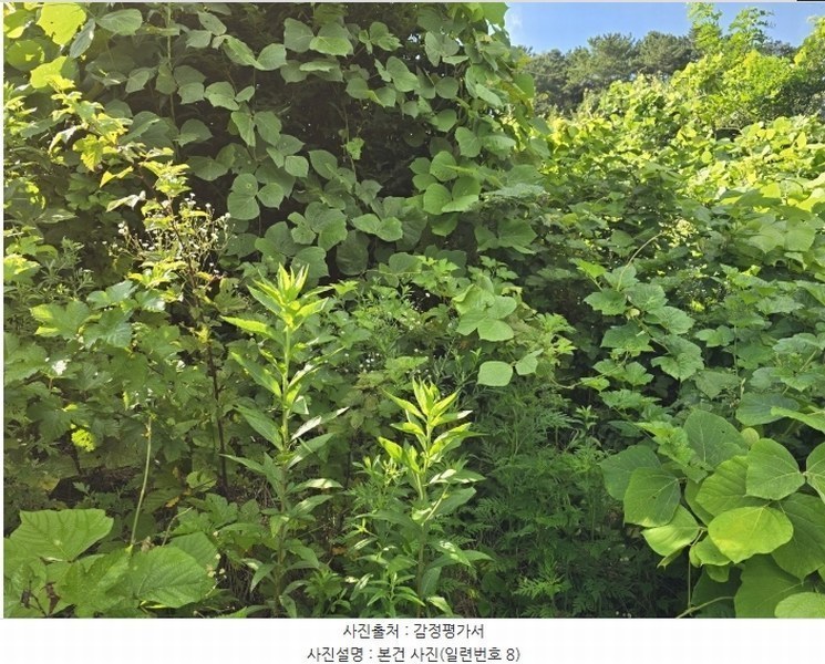 2024타경35677 경상남도 진주시 집현면 장흥리 산66 임야 경매 이미지