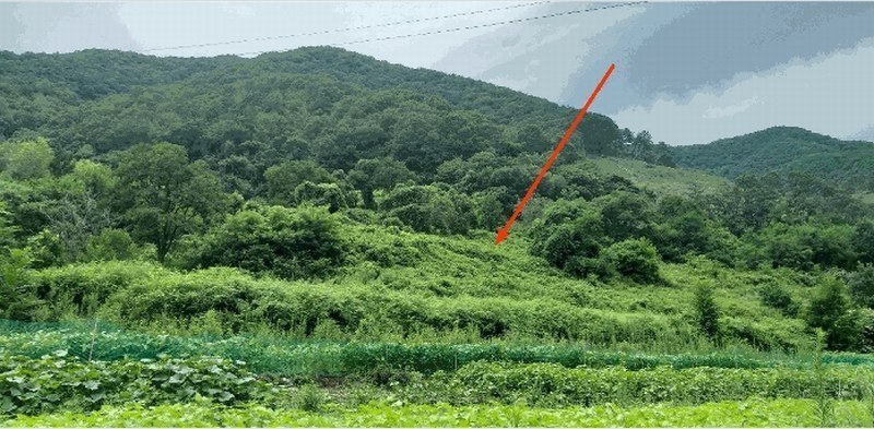 2025타경10186 충청북도 옥천군 청성면 구음리 122-3 농지 경매 이미지