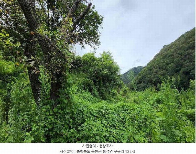 2025타경10186 충청북도 옥천군 청성면 구음리 122-3 농지 경매 이미지
