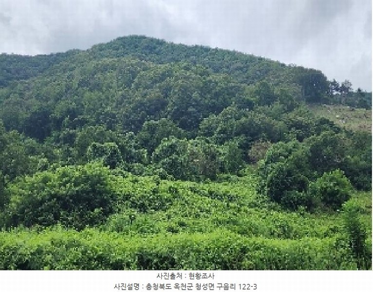 2025타경10186 충청북도 옥천군 청성면 구음리 122-3 농지 경매 이미지