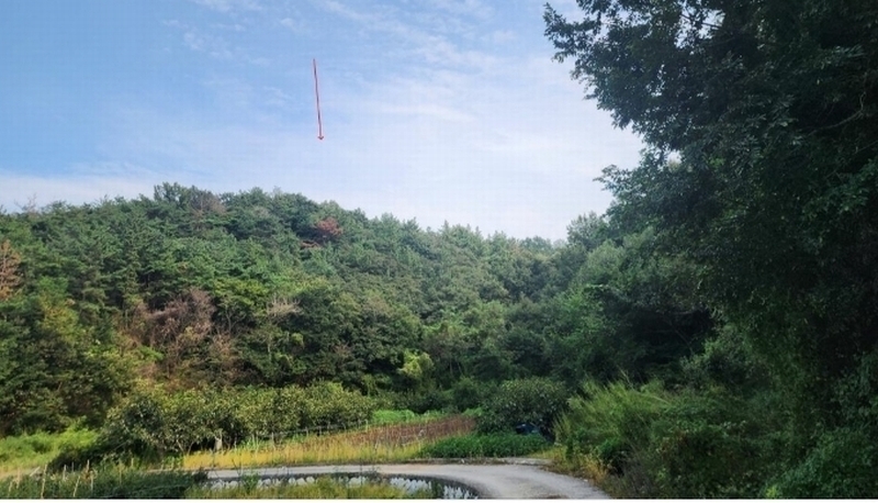2024타경36922 경상남도 하동군 금성면 가덕리 산84-5 임야 경매 이미지