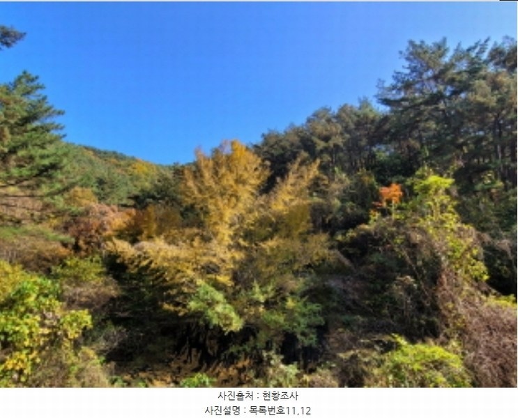 2024타경38775 경상남도 진주시 이반성면 하곡리 455 농지 경매 이미지