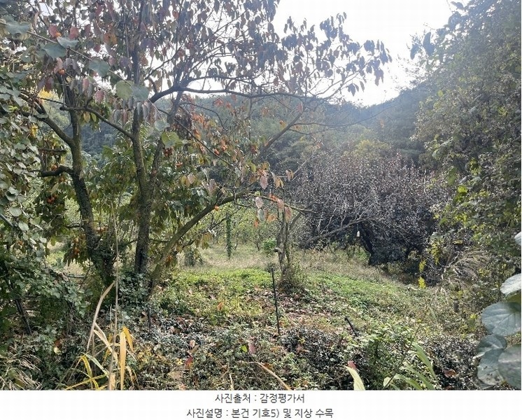 2024타경38775 경상남도 진주시 이반성면 하곡리 455 농지 경매 이미지