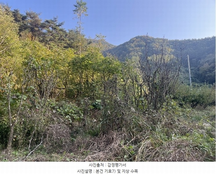 2024타경38775 경상남도 진주시 이반성면 하곡리 455 농지 경매 이미지