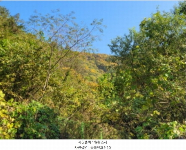 2024타경38775 경상남도 진주시 이반성면 하곡리 455 농지 경매 이미지