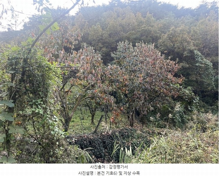 2024타경38775 경상남도 진주시 이반성면 하곡리 455 농지 경매 이미지
