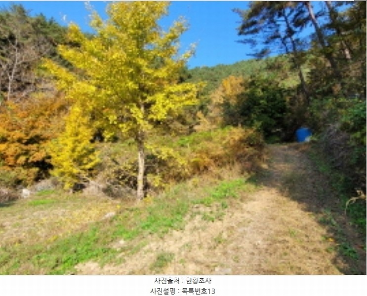 2024타경38775 경상남도 진주시 이반성면 하곡리 455 농지 경매 이미지